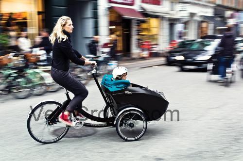 Triobike Mono E fiche technique et avis